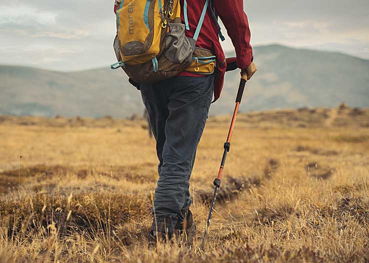 Best Trekking Poles for Hunting